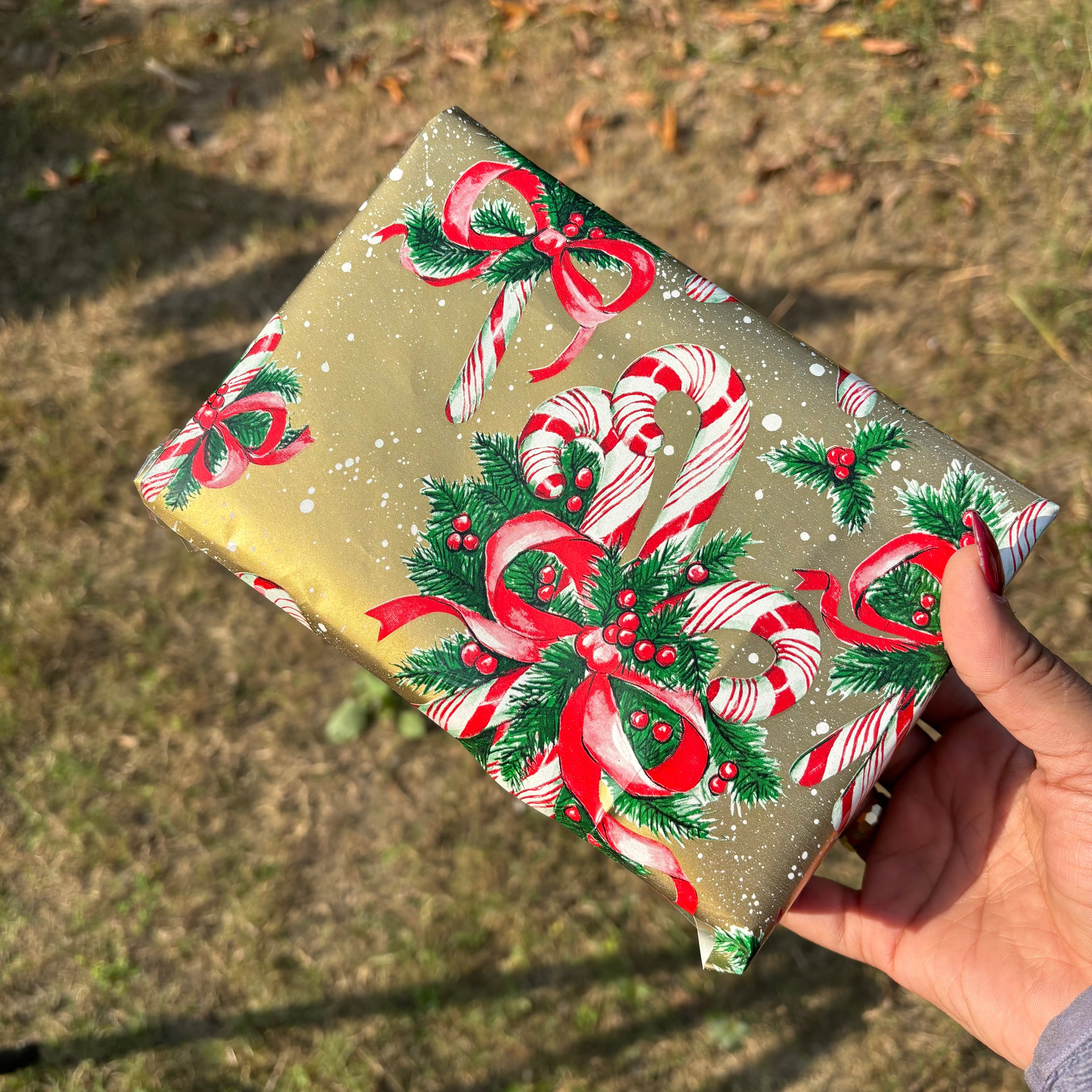 Saar Beauty Christmas Luxe Gift Hamper – Set of 8